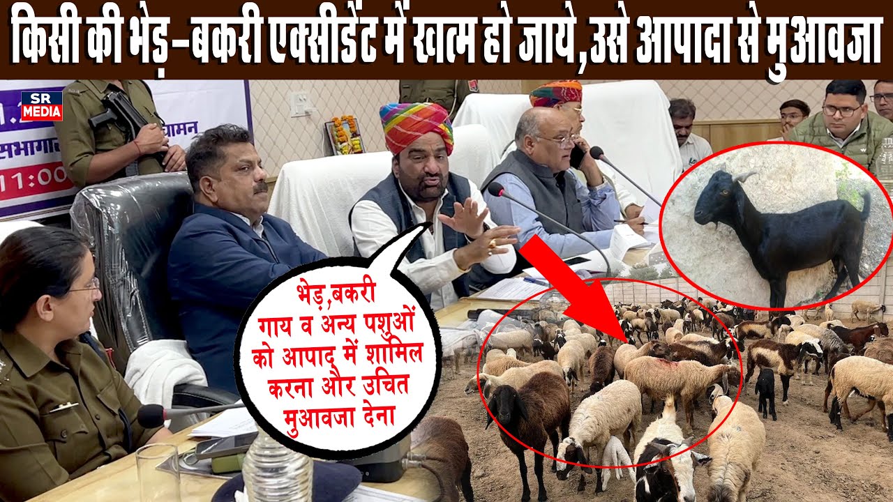 हनुमान बेनीवाल: हा’दसे में म’री भेड़/बकरी/गाय पर मुआवजा दिया जाए | SR Media