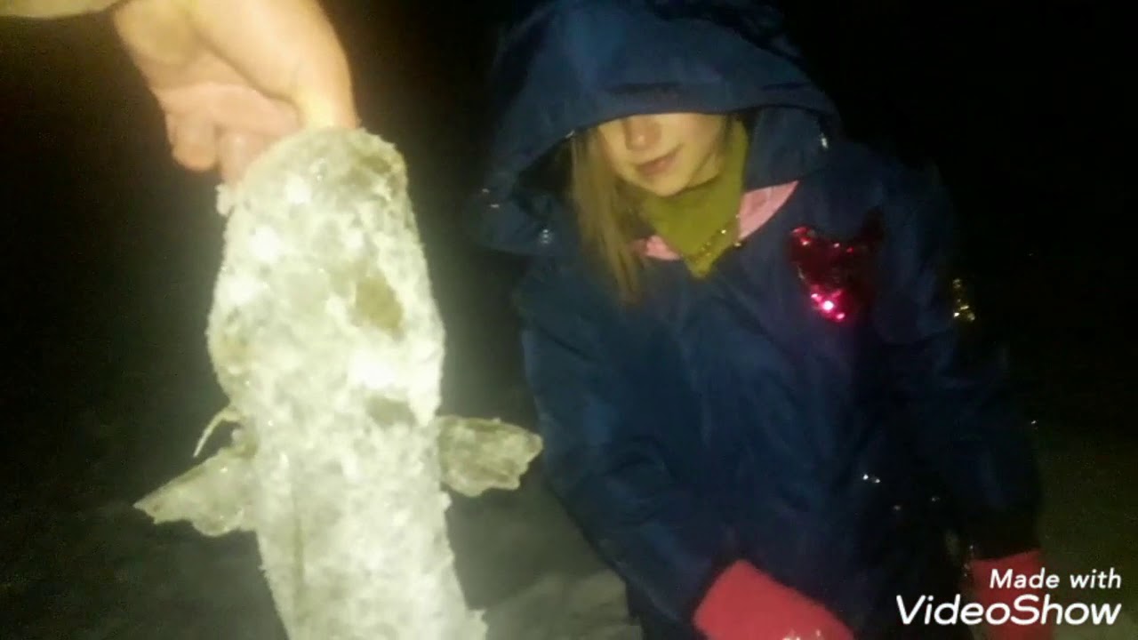 Налим на стукалку! Рыбалка с семьёй! Даша подняла трофей!