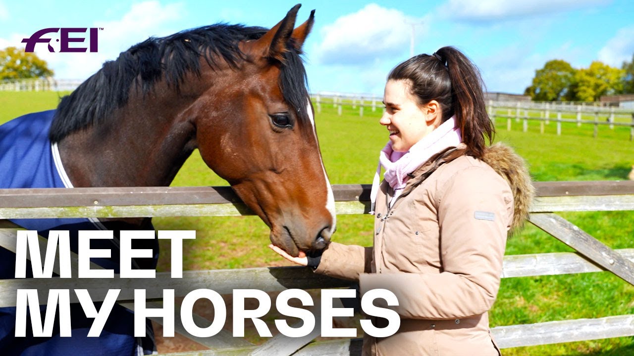 Horse Yard Tour - w/ Olivia Towers | Guest Vlog