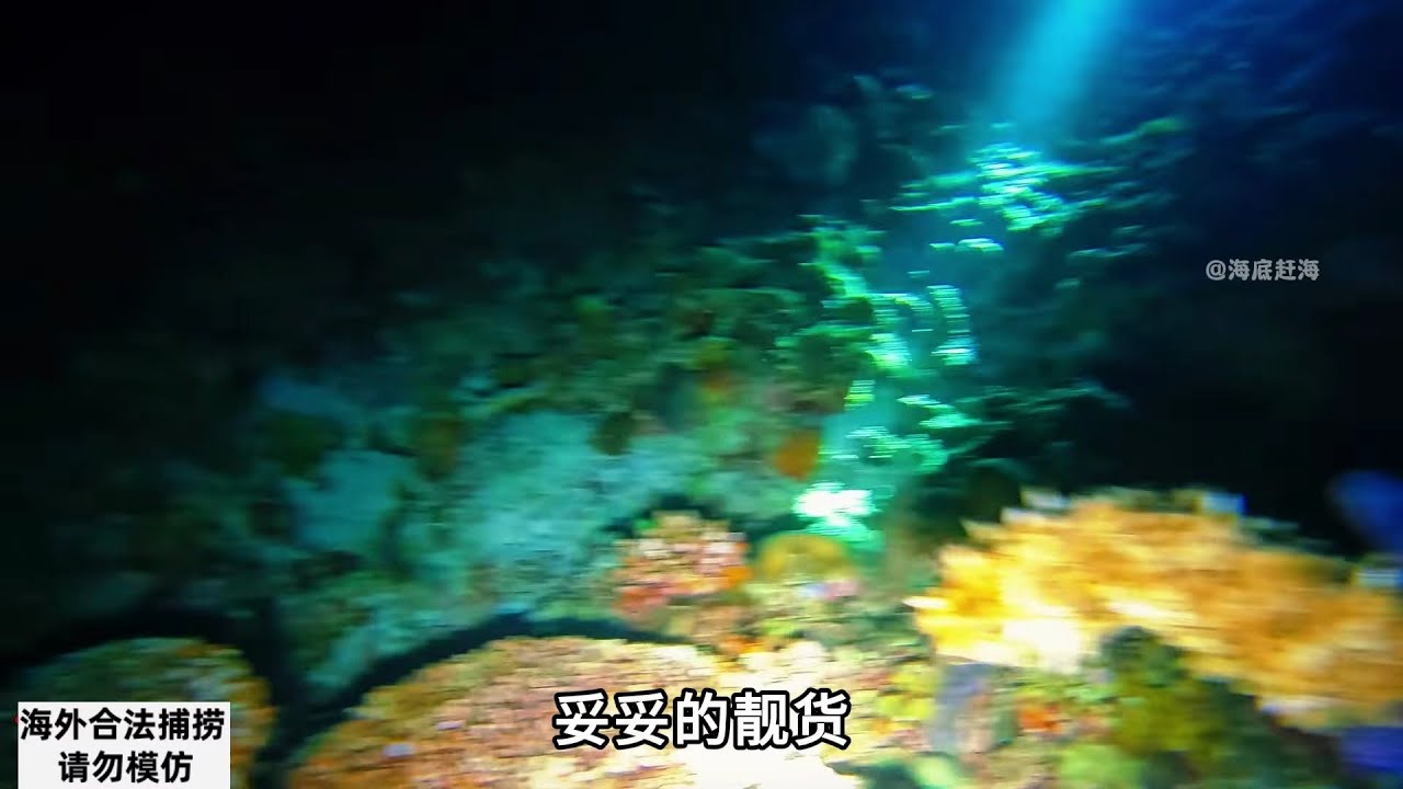 赶海100海底赶海都能捞到什么海货 哔哩哔哩