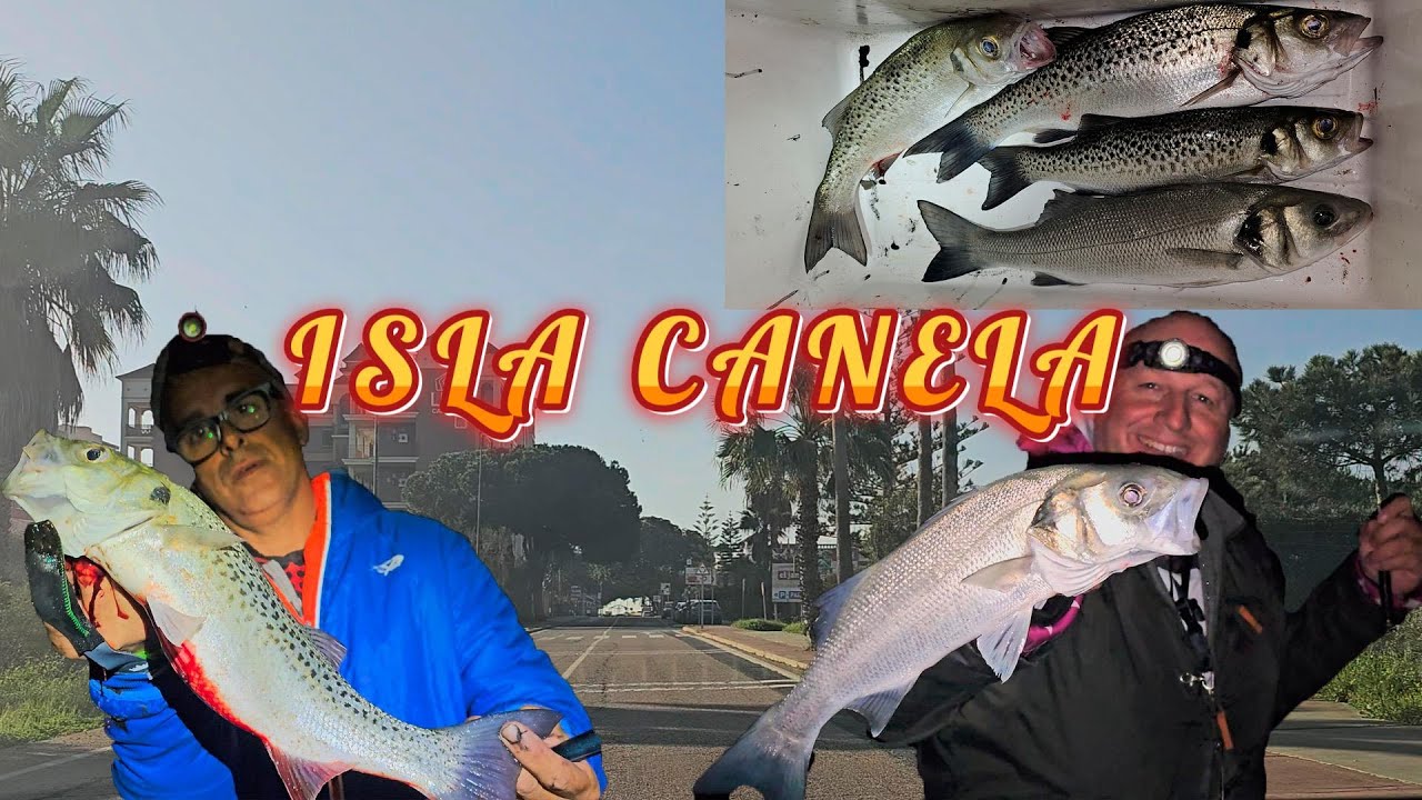 PESCA SURCASTING EN ISLA CANELA BUSCANDO ROBALOS Y BAILAS