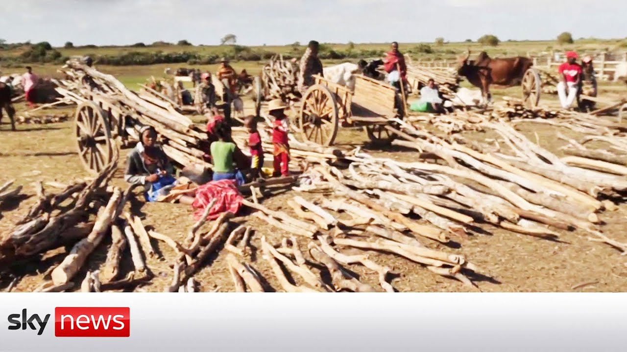 Relentless deforestation adds to climate woes in Madagascar