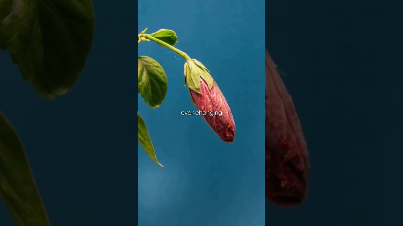 Now And Always is out now! Take a listen and let us know what it means to you. 💙♾️ - Ian & Chad