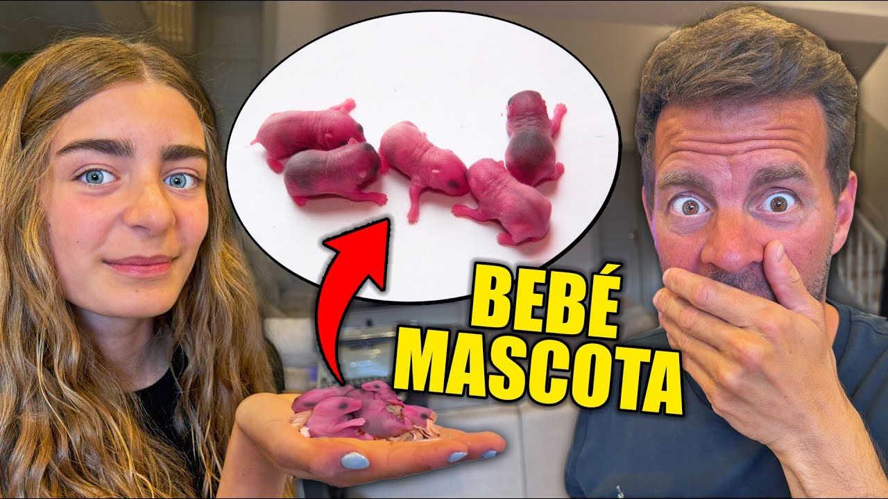 NUEVA MASCOTA BEBE Itarte Vlogs