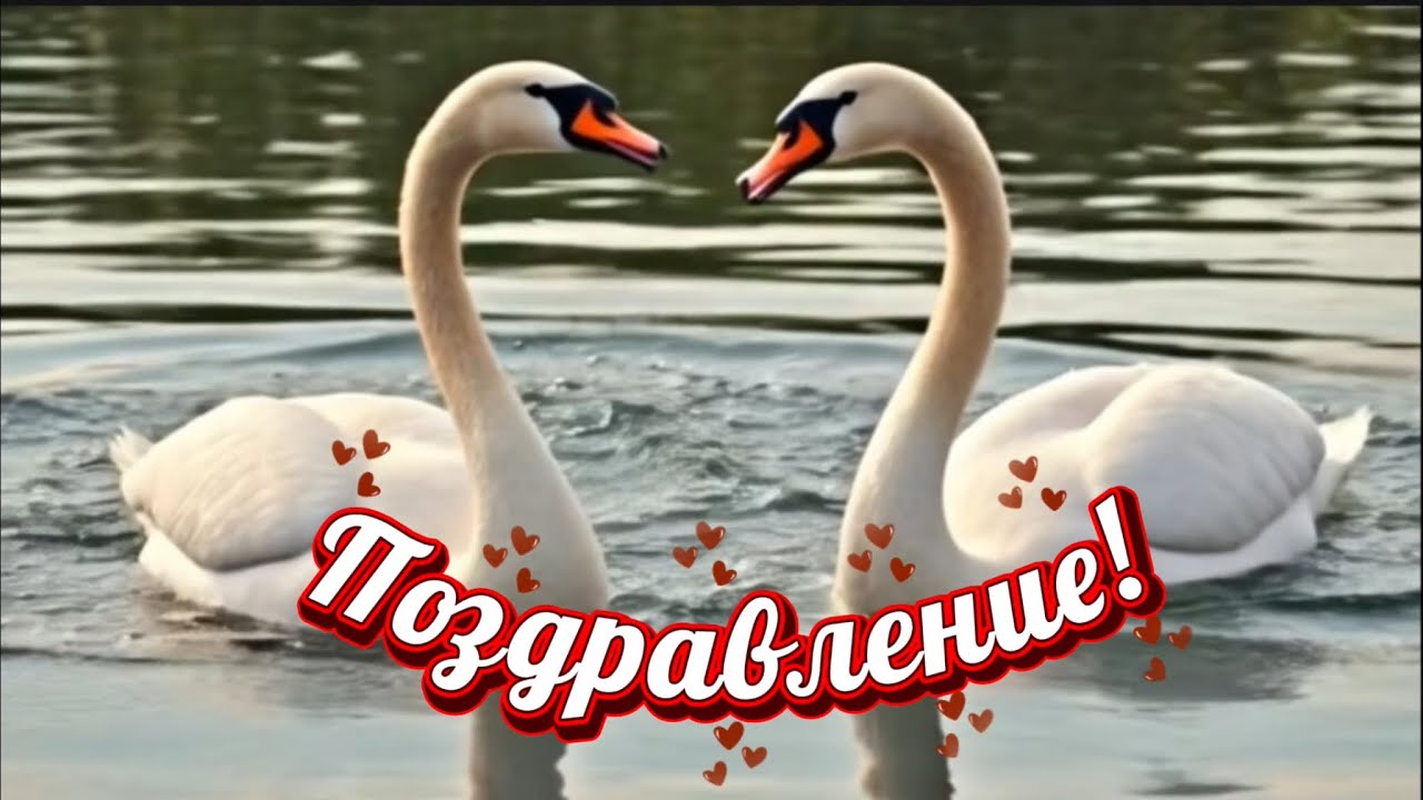 Поздравление ! (И.Самохин / I.Samohin ) RU