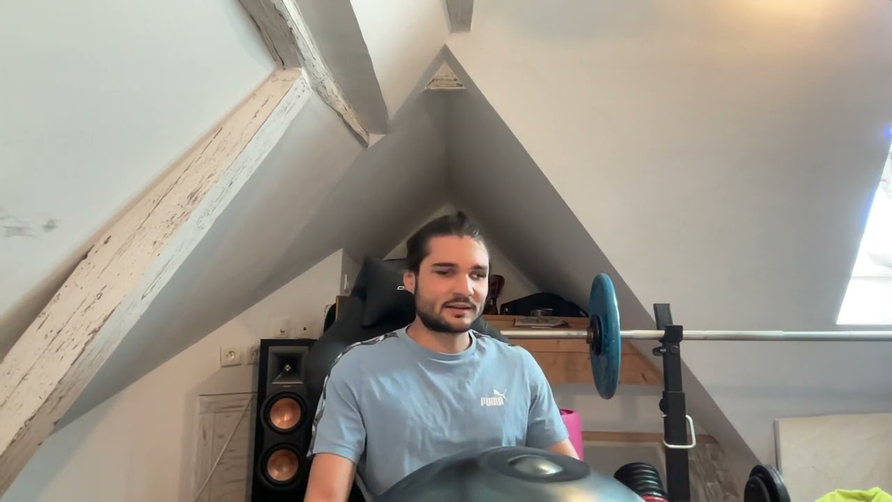 Présentation de l'instrument de musique, Handpan, en Ré mineur celtique octatonique à 17 notes