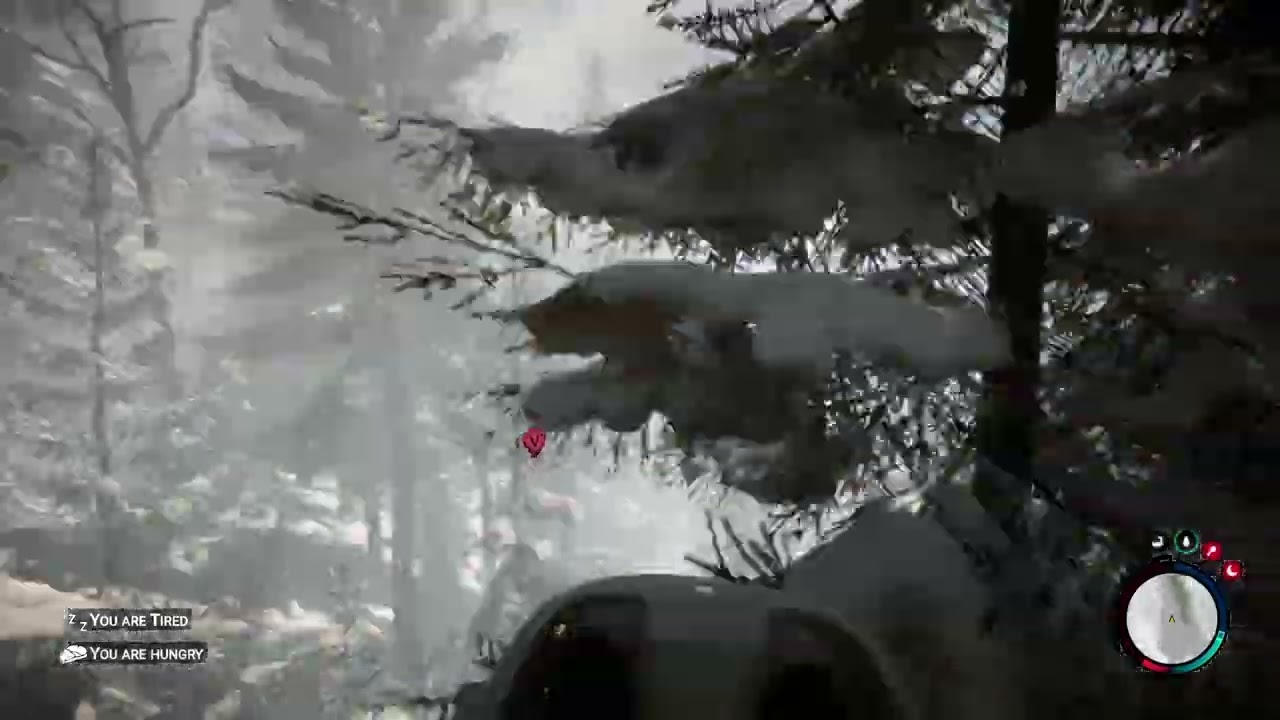 SONS OF THE FOREST OP