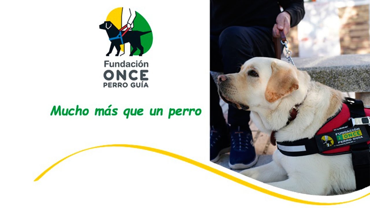 Fundación ONCE del Perro Guía  #FOPG