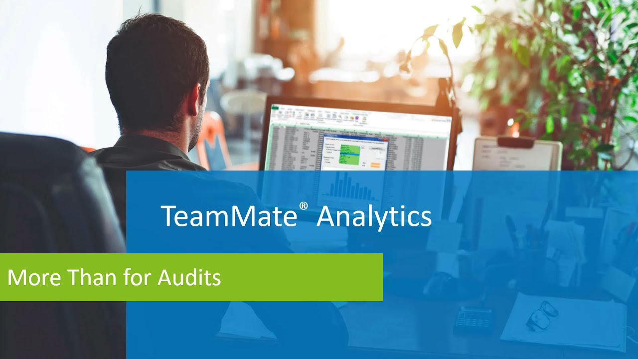 TeamMate® Analytics: Beyond Audit Overview