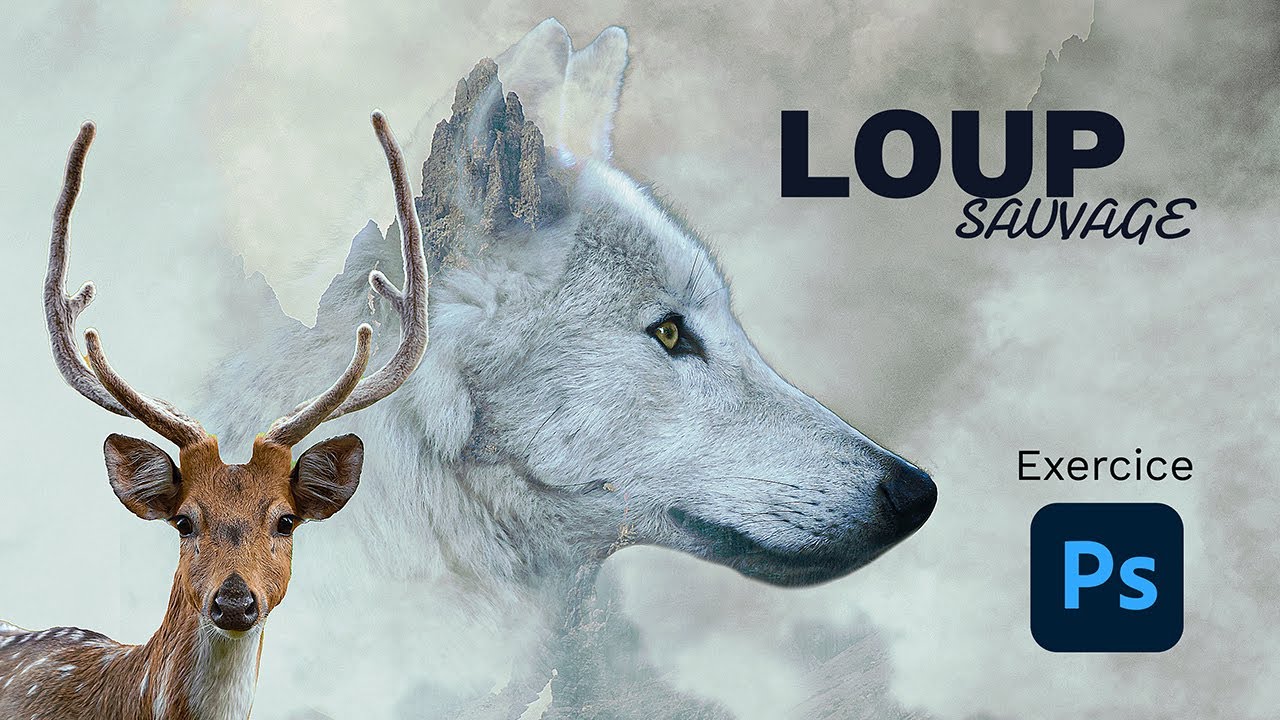 Double exposition Photoshop exercice loup [Tuto Photoshop ]