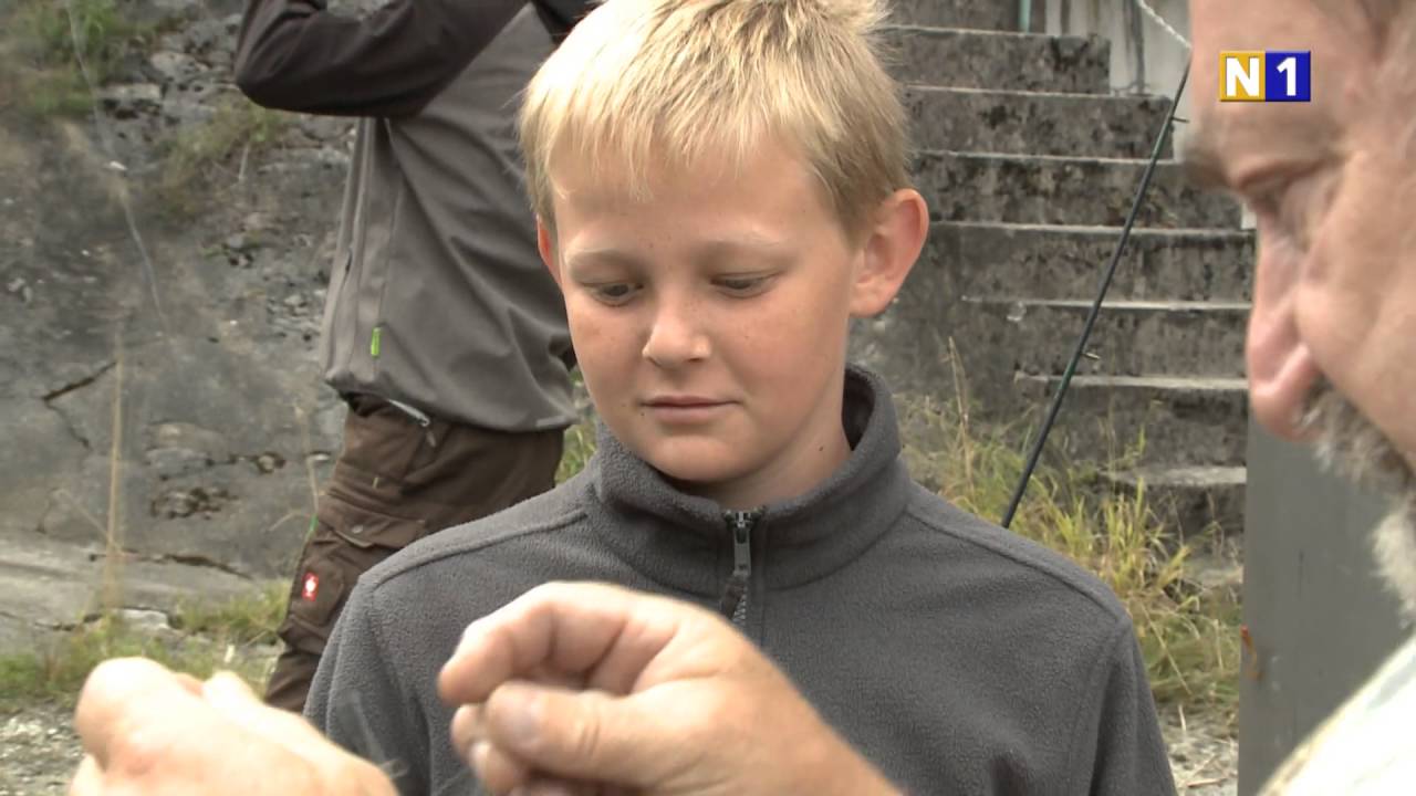 Junganglertag der EVN in Waidhofen a.d. Ybbs