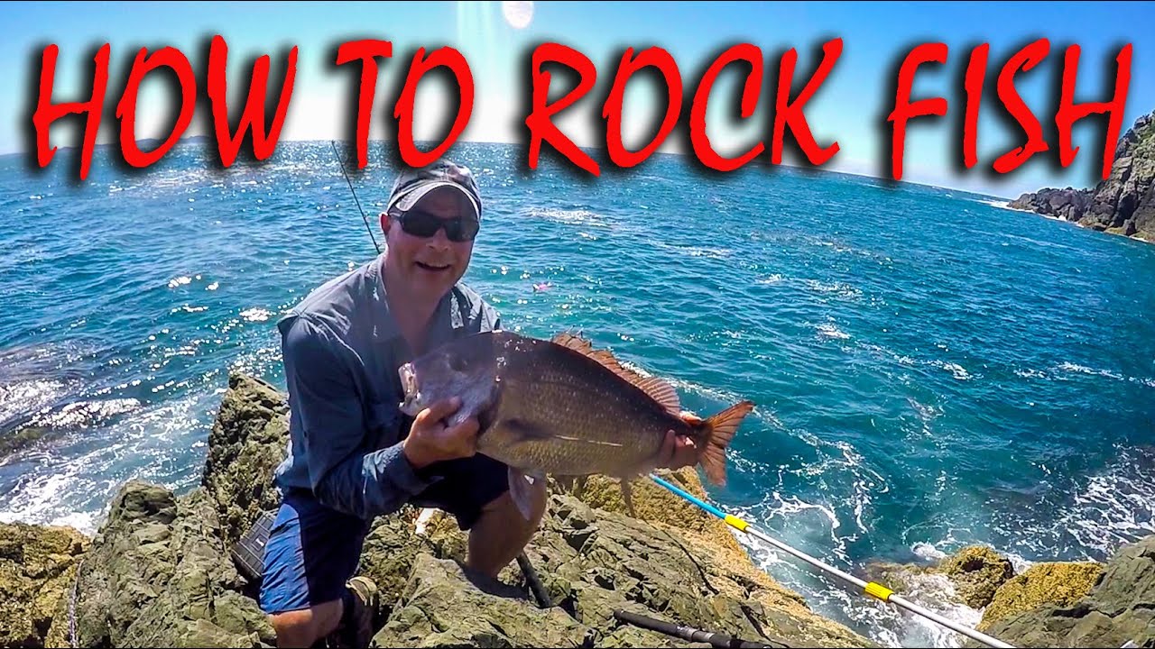 HOW TO STRAY LINE ROCK FISHING FOR SNAPPER, KAHAWAI & TREVALLY IN NZ