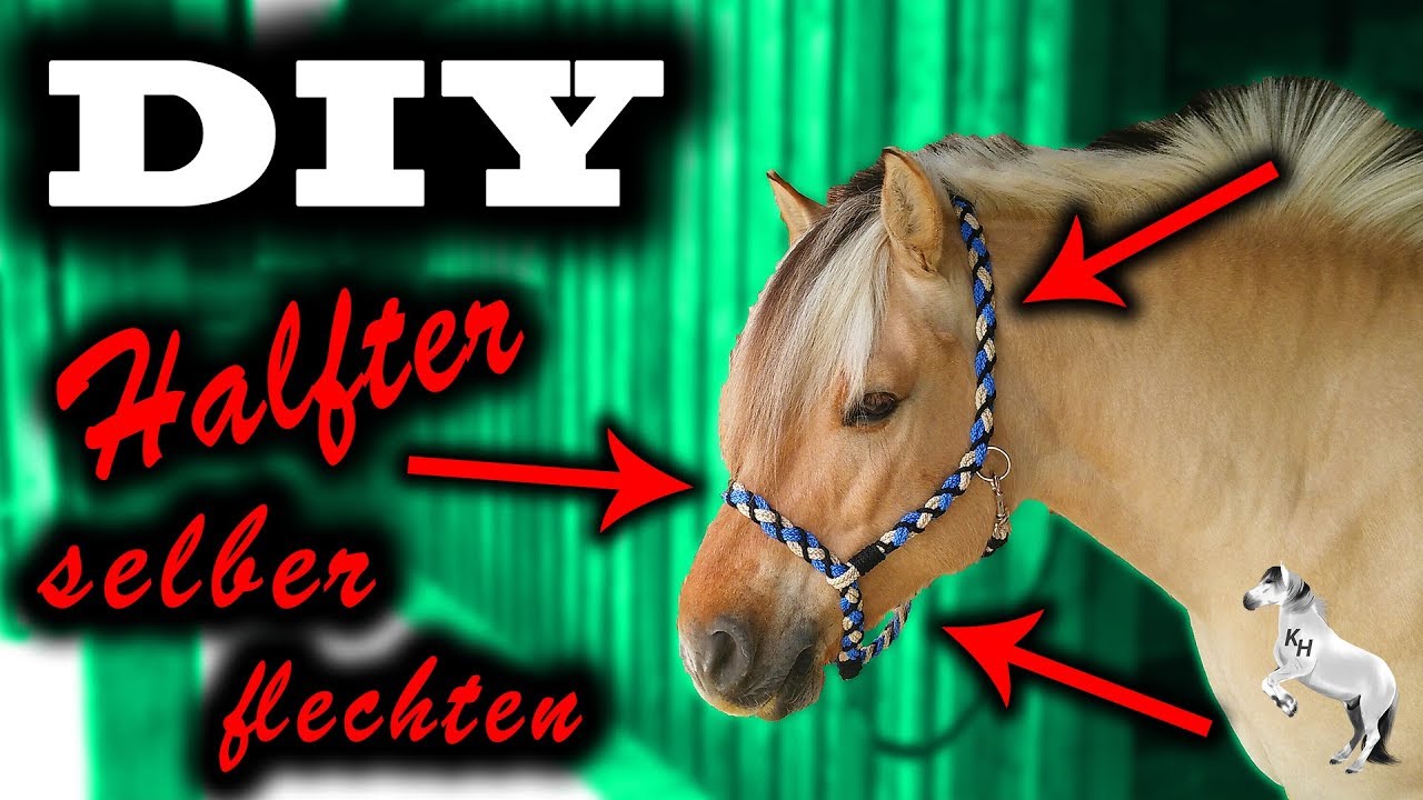 [DIY] Halfter KOMPLETT selbst flechten