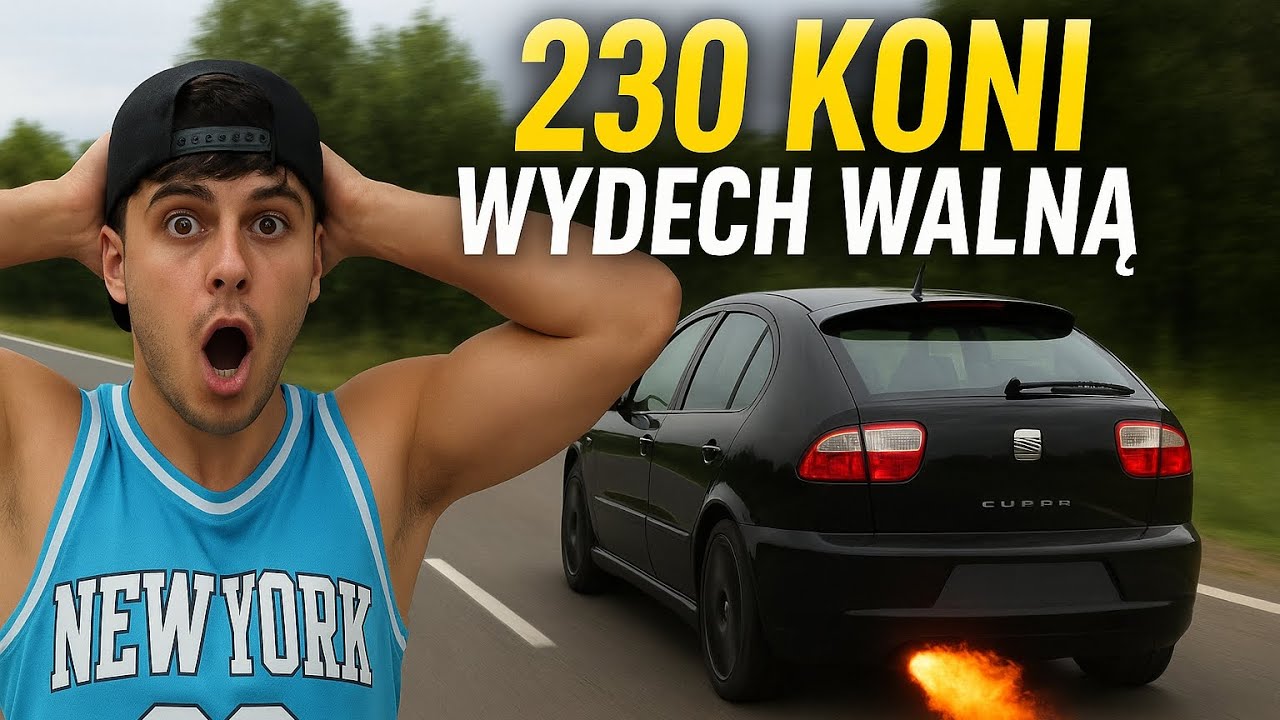 Seat Leon cupra amk 230koni 