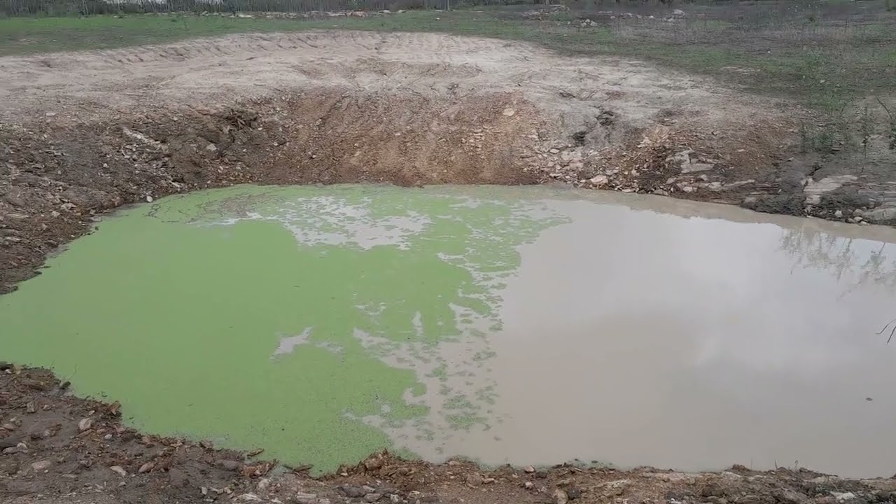 #Mostrando o barreiro depois das chuvas pegando água e #também as ovelhas 🐑 