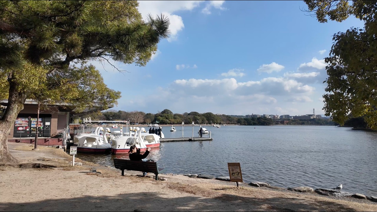 Fukuoka 4일차 - 오마카세 & 오호리 공원 & 모모치 해변 등