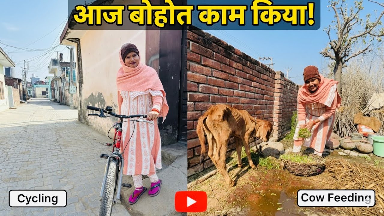 Suman ka naya kaam! 🐮 गाये ko ghas khilaya aur Football match ki taiyari ⚽#recommended 