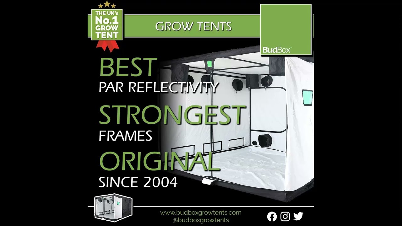 Budbox Pro Grow Tent