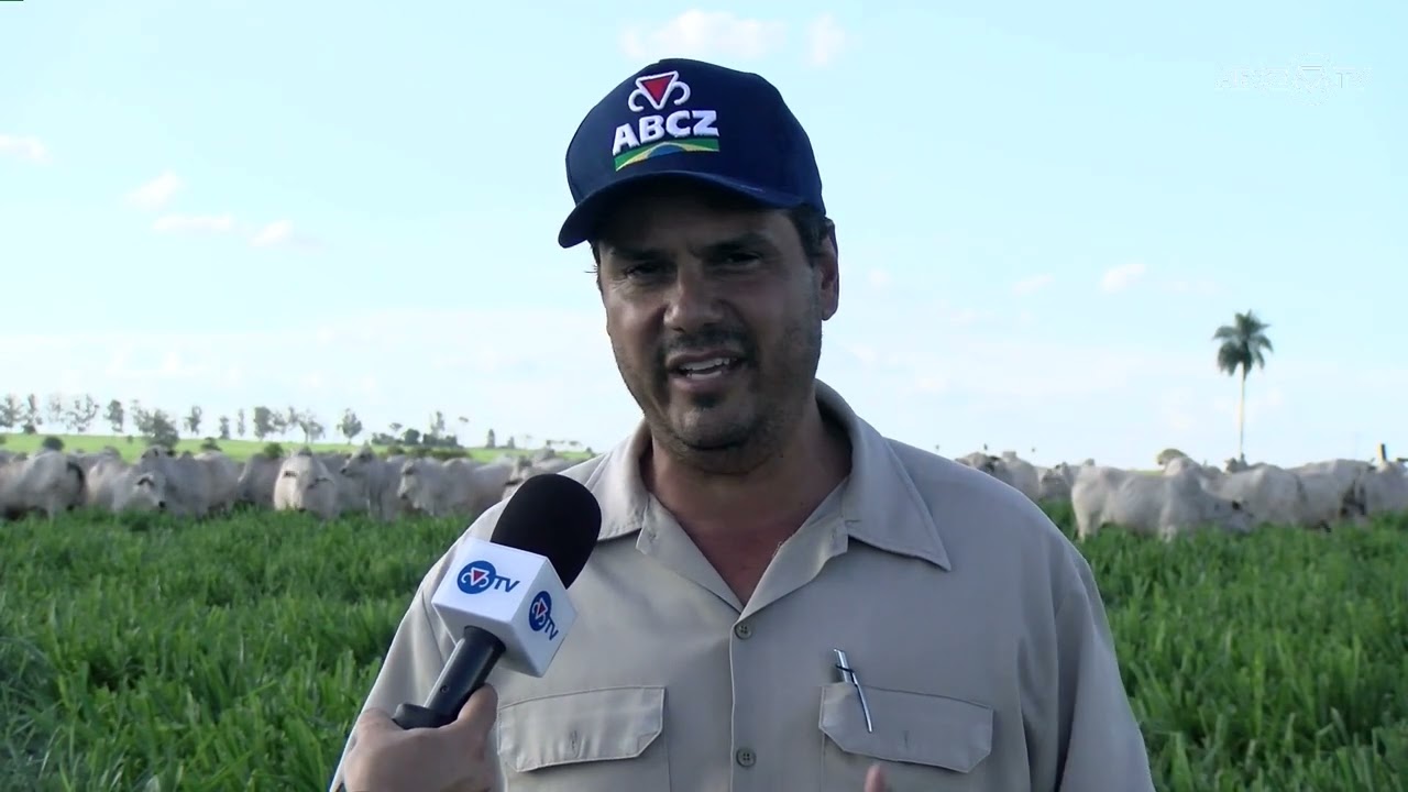 Rota do PMGZ em Mato Grosso do Sul - Conheça o Nelore Naviraí