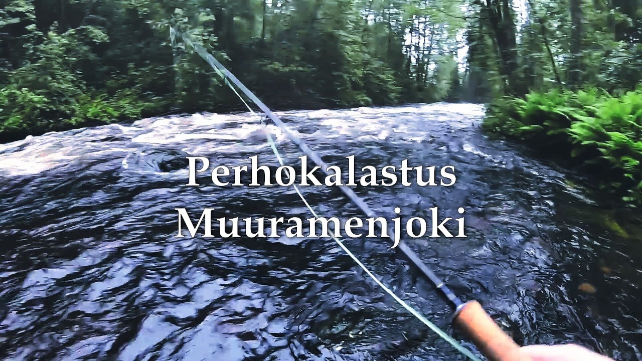 Perhokalastus Muuramenjoki
