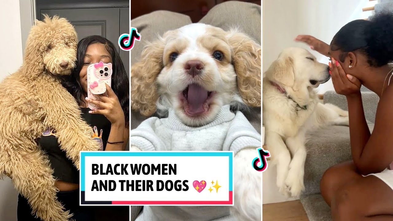 Black Women & Their Dogs | Funny TikTok Compilation 2026 #dog #dogmom #dogs