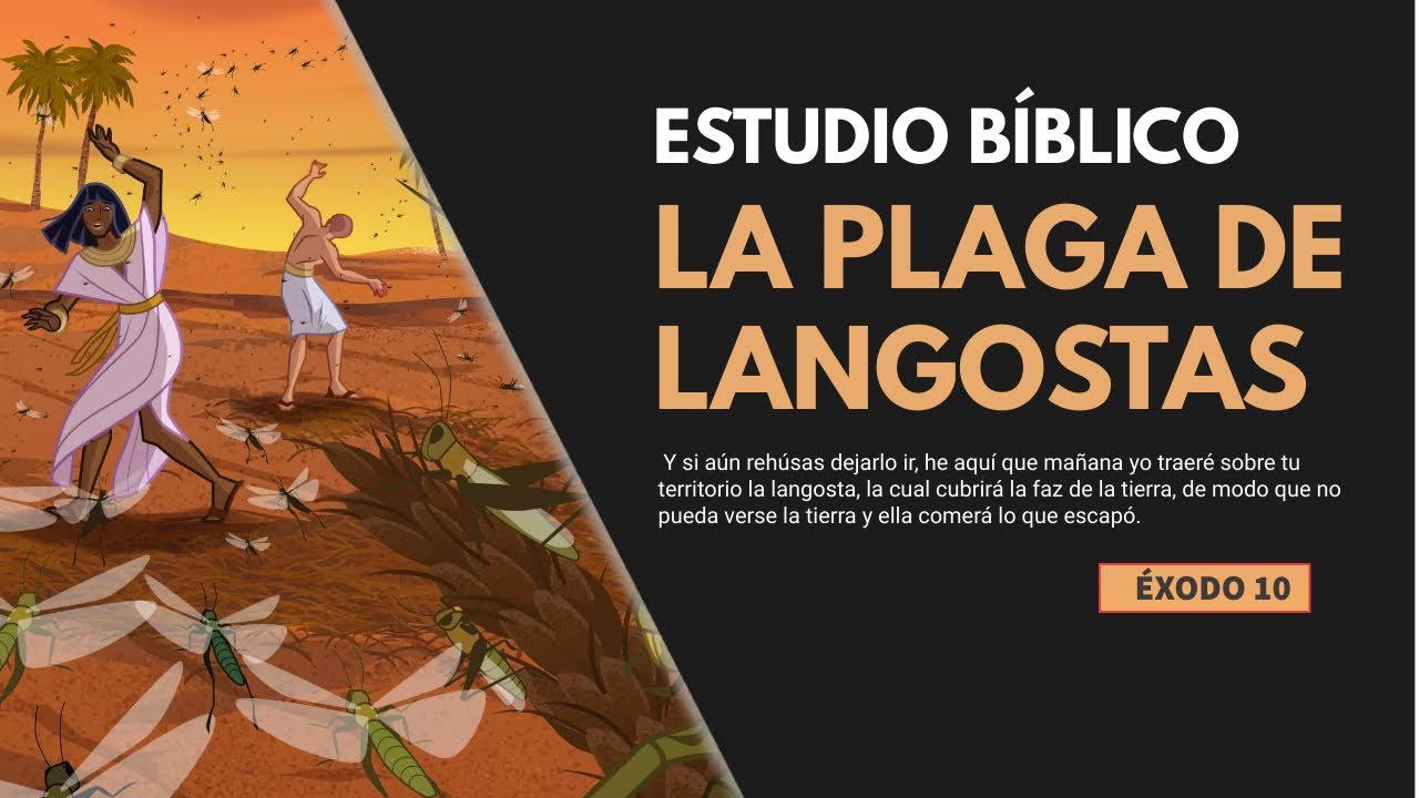 Estudio Bíblico | La plaga de langostas - REFLEXIÓN.
