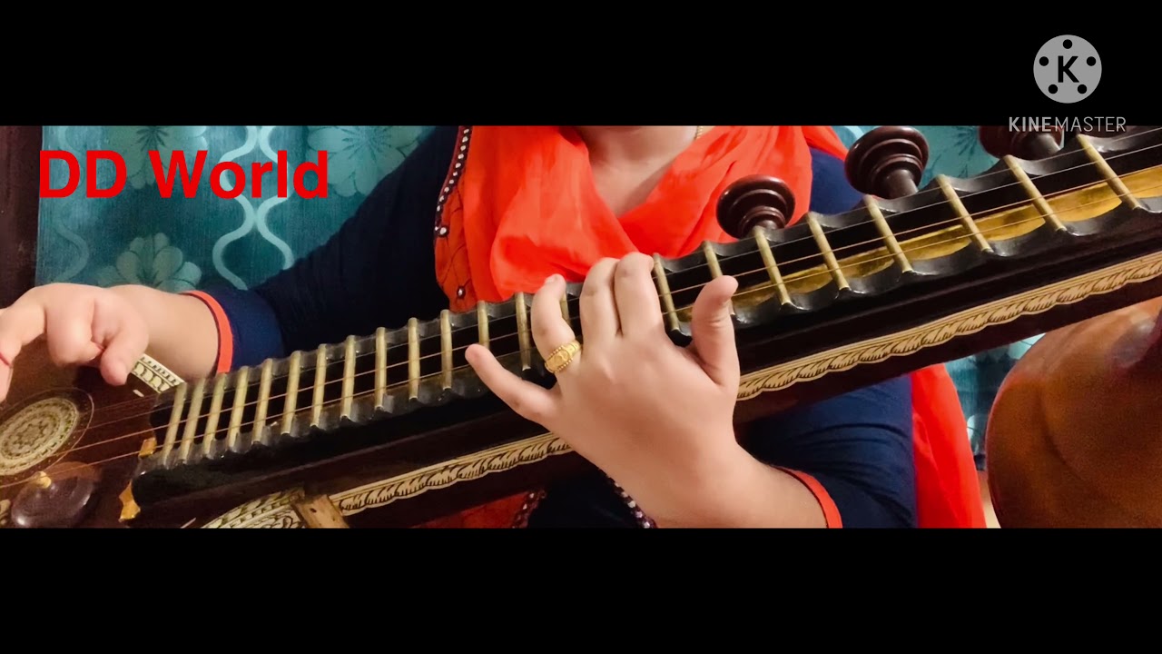 How to play Happy Birthday song | Veena Tutorial | DD World