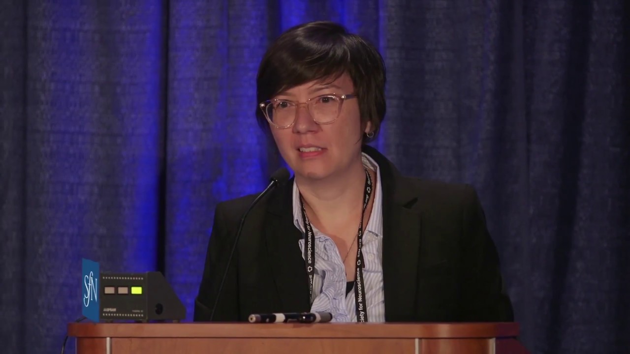 Global Brain Projects: Cross-Cultural Perspectives and Value Conflicts in Experimental Design