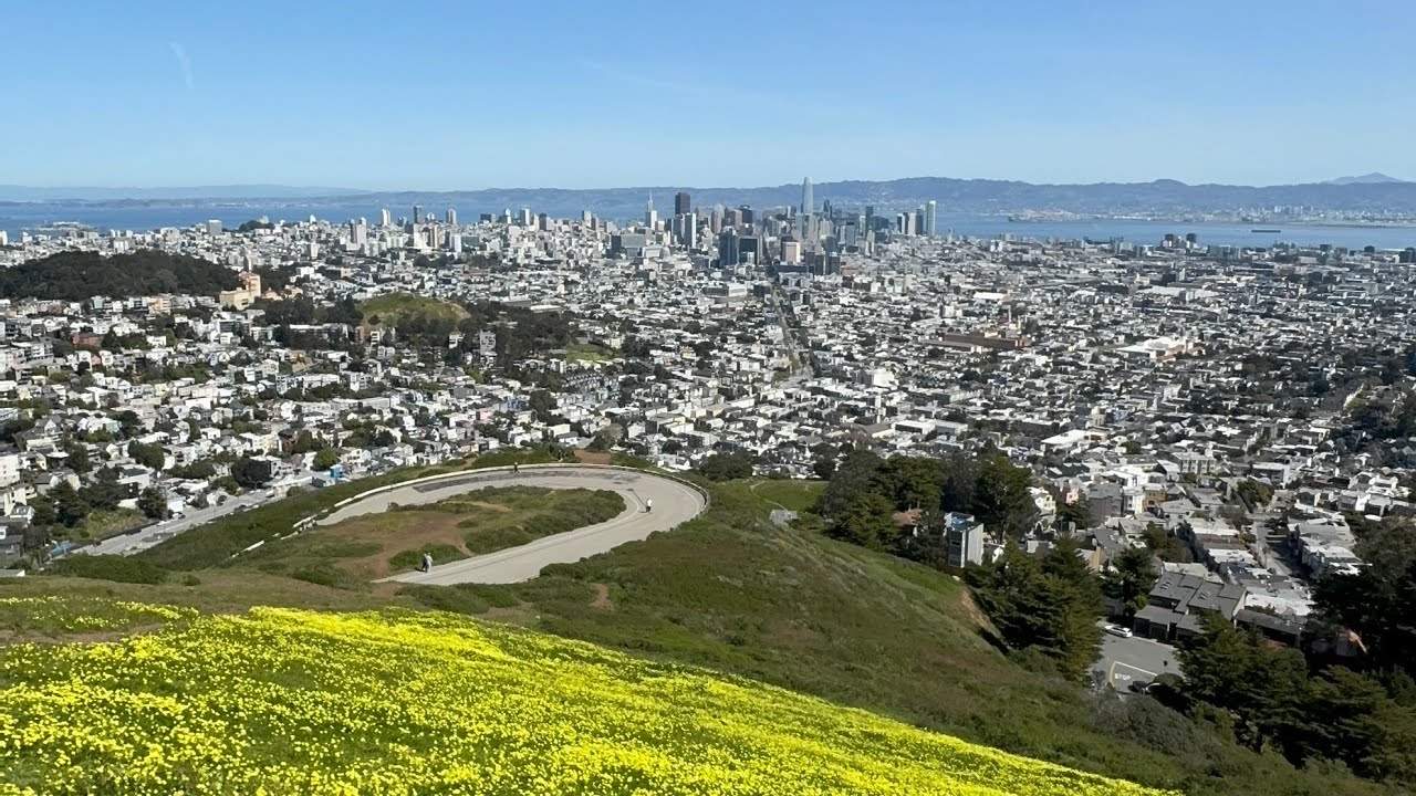 LaMeowMeow is live! SF #twinpeaks #sf #california #viral #sanfrancisco 