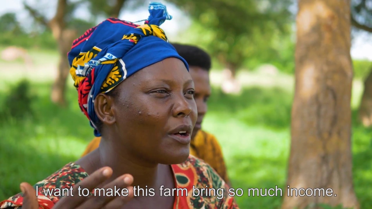 MoKash | Savings and Lending in Rural Uganda