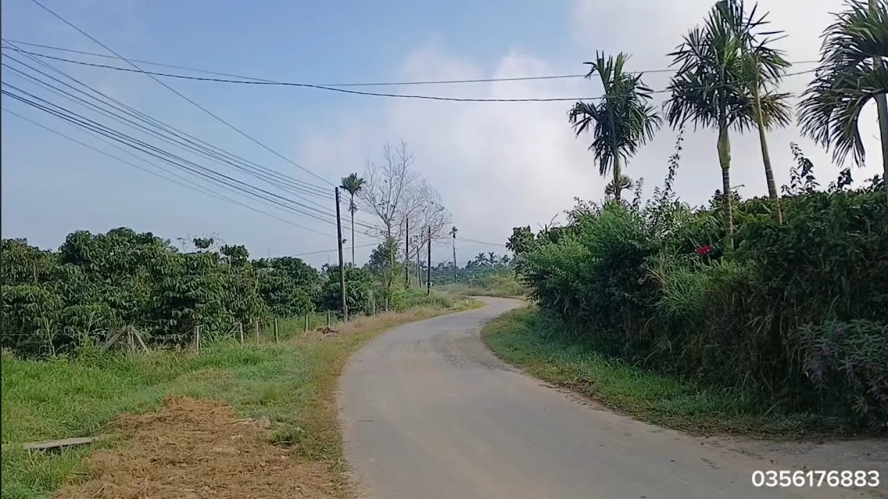 Bảo Lộc _ phường 3 diện tích 500m² kích thước 10 x 50 quy hoạch thổ cư.