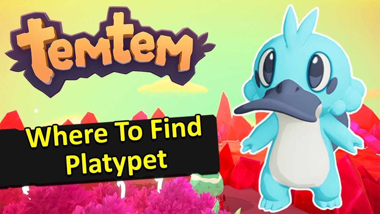 Where to Find Platypet | TemTem Guide