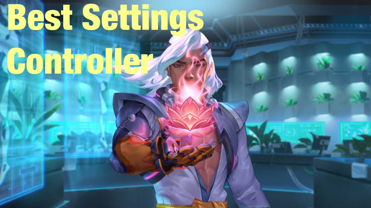 Lifeweaver Best Controller Settings