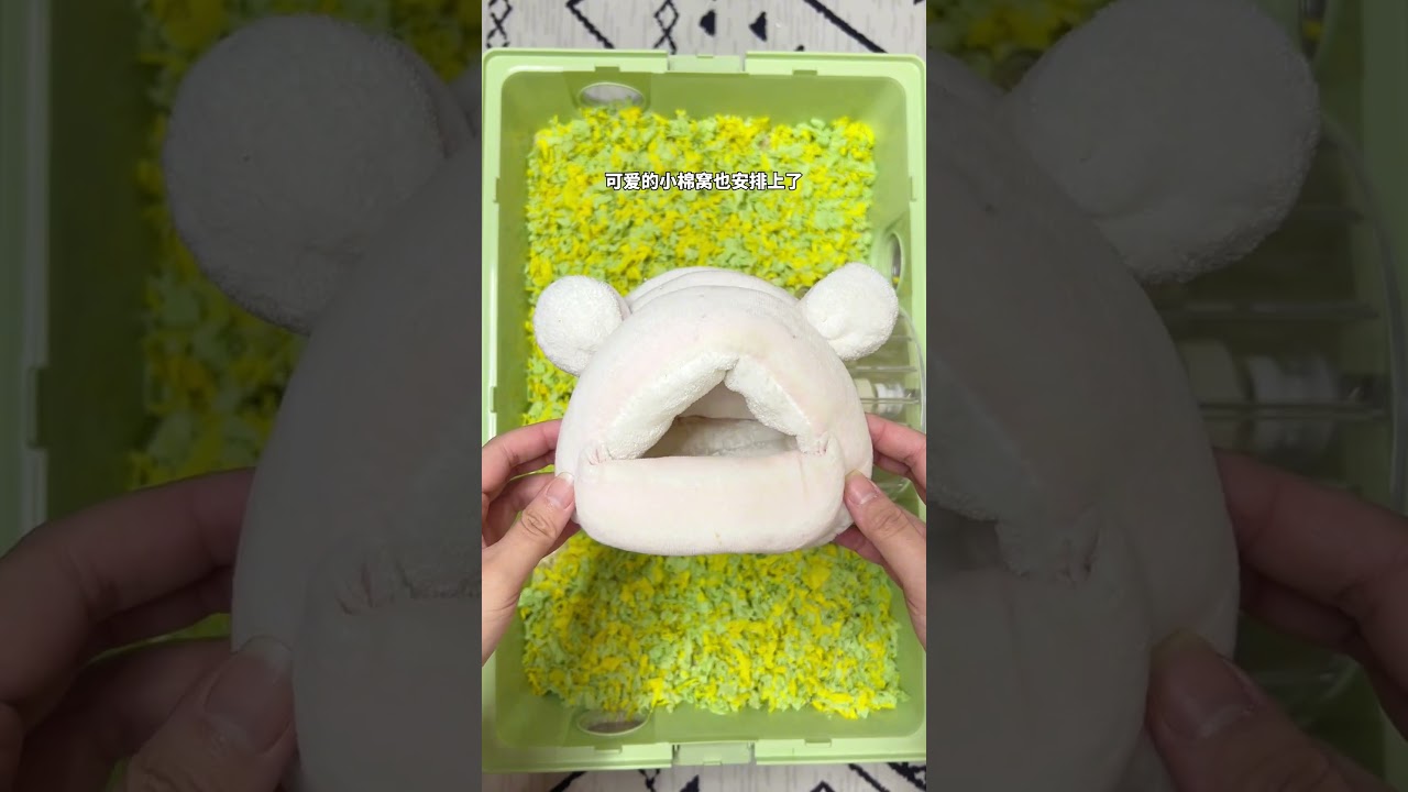 养大一只别人不要的小仓鼠 真的是一件很有成就感的事呢！#仓鼠 #金丝熊 #仓鼠日常 #宠物 #仓鼠造景