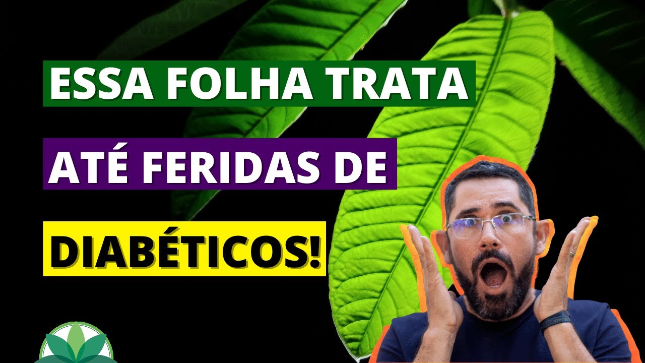 Essa folha trata at&eacute; feridas de diab&eacute;ticos!