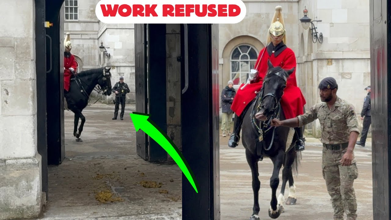 😱AGITATED! This Horse Definitely Doesn’t Want to Work