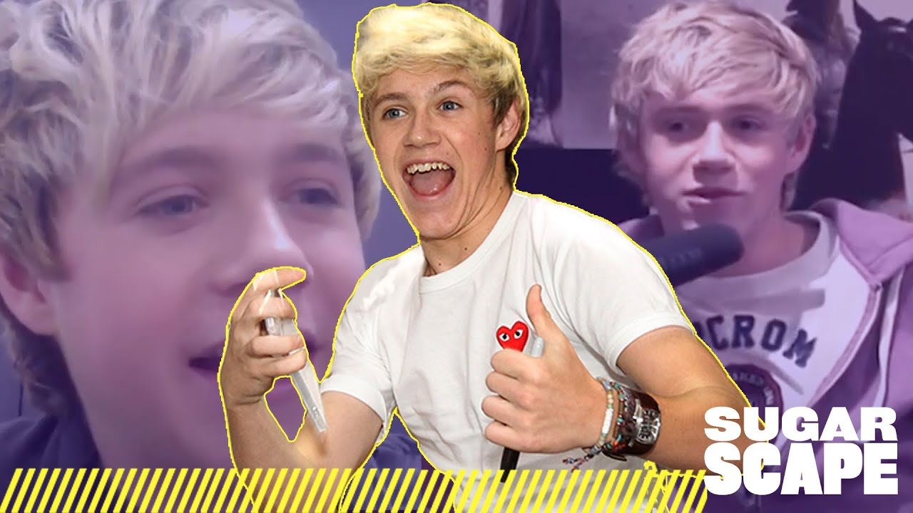 Niall Horan Being Funny For 3 Minutes | Sugarscape