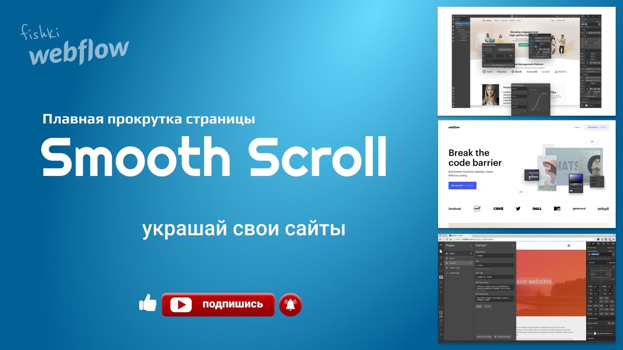 Плавная прокрутка сайта | smooth scroll page webflow