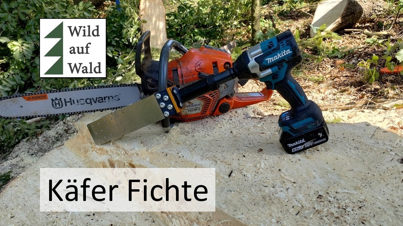 🌲Borkenkäfer: Erkennen und fällen einer befallenen Fichte mit Husqvarna und Makita #wildaufwald