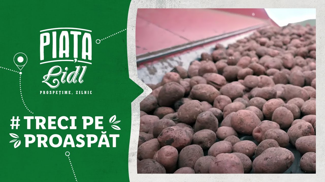 Producatorul Ferma Cernat • Piata Lidl