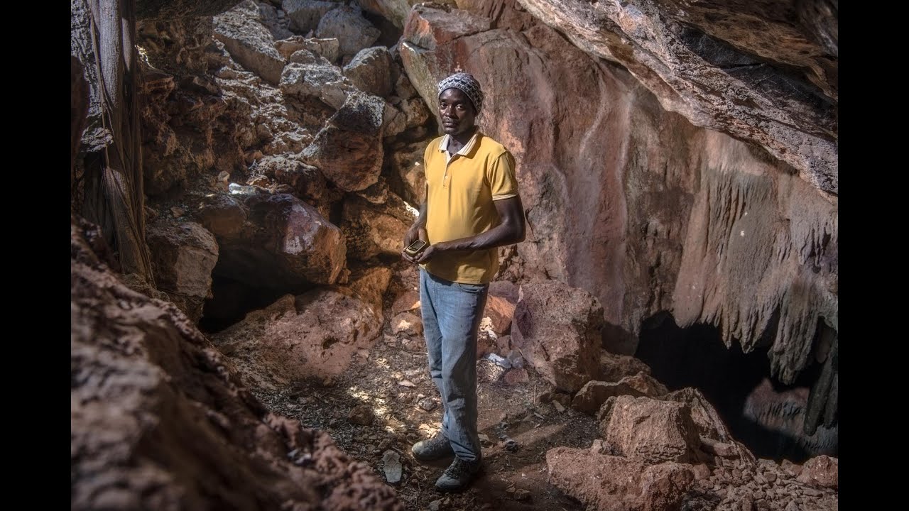 Entre braconnage et le mur dominicain, les iguanes menacés en Haïti