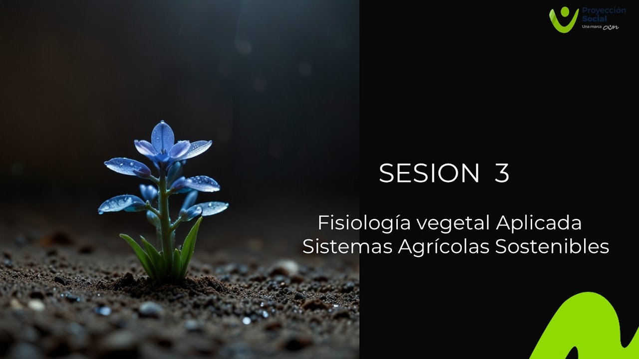 FISIOLOGIA VEGETAL APLICADA A SISTEMAS AGRÍCOLAS SOSTENIBLES (SESIÓN 3)