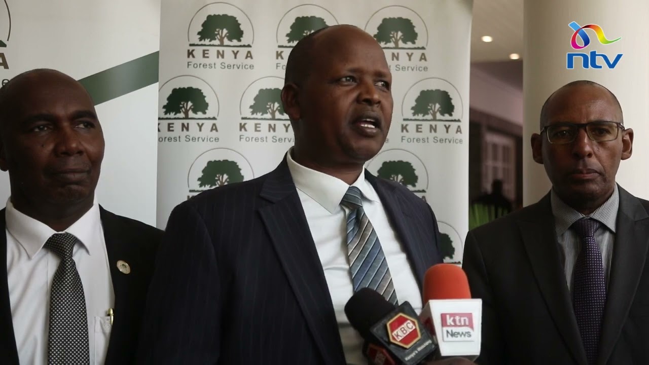 It will cost KES 600B to plant 15 billion trees: Alex Lemarkoko, Chief Conservator of Forests - KFS