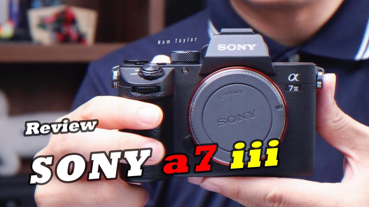 SONY Alpha 7 Mark iii (a7iii) Review 2024
