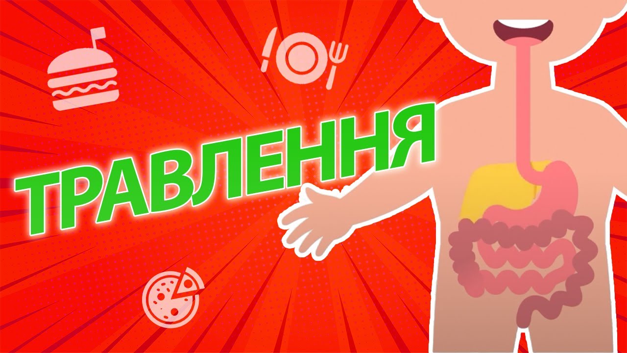 ДЛЯ ЧОГО МИ ЇМО? | Po co jemy?