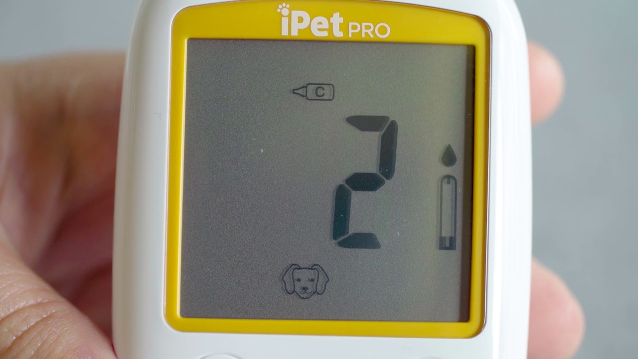 iPet PRO Overview