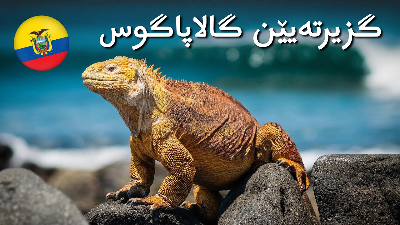 Ecuador: Galápagos & Banana Plantations - ئیکوادور: گزیرتا گالاپاگوس و مەزنترین کێلگەها موزا 🇪🇨 🍌🐢