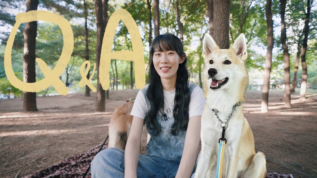 5년차 캠핑 유튜버 Q&A, 유기견이었던 나의 반려견 이야기 | 눈물바다 주의