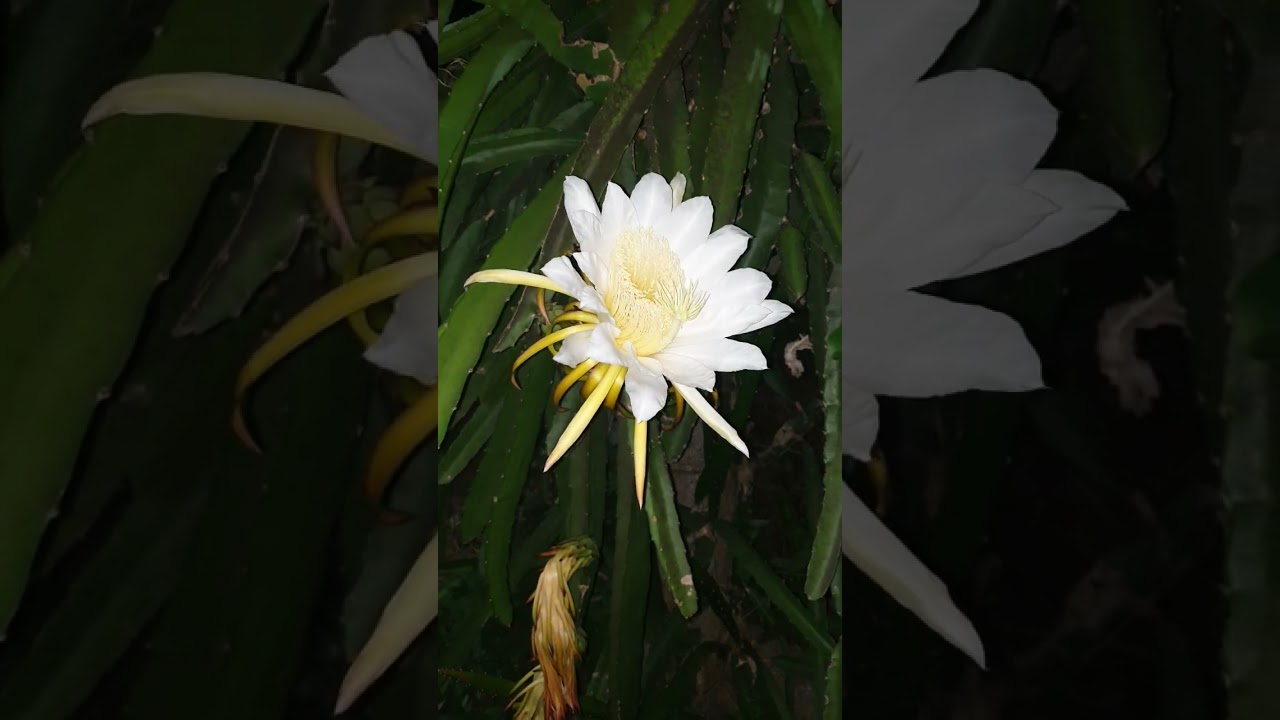 Жизнь никого не ждёт