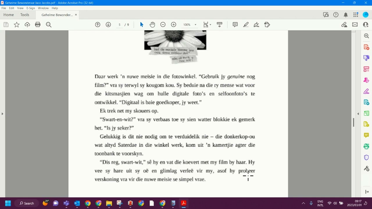 Geheime Bewonderaar (Graad 10) Ink en ander verhale